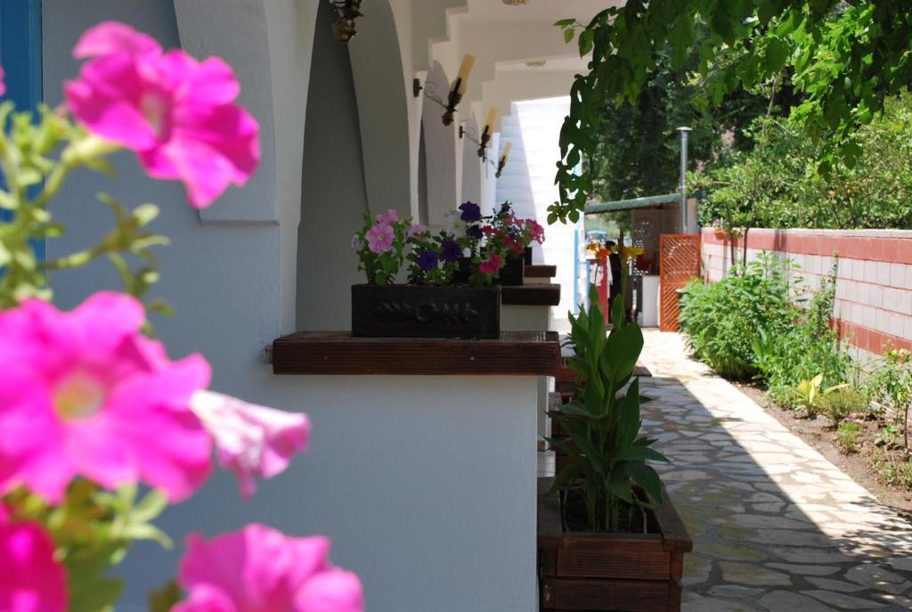 Myra Hotel Dalyan Buitenkant foto